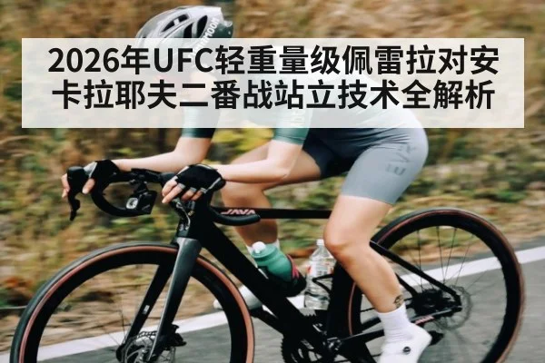 2026年UFC轻重量级佩雷拉对安卡拉耶夫二番战站立技术全解析